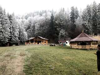 Фото Гостевой дом Cabana Raisa г. Valea Moldovei